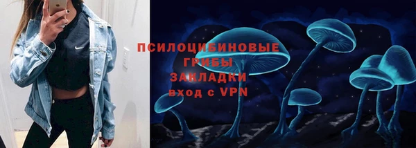 мдпв Бежецк