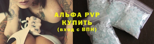 мяу мяу мука Дмитриев