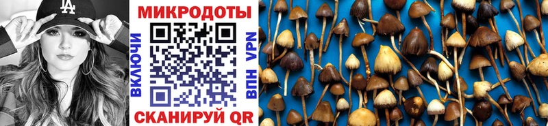 Галлюциногенные грибы Psilocybe  дарнет шоп  даркнет состав  Донецк 