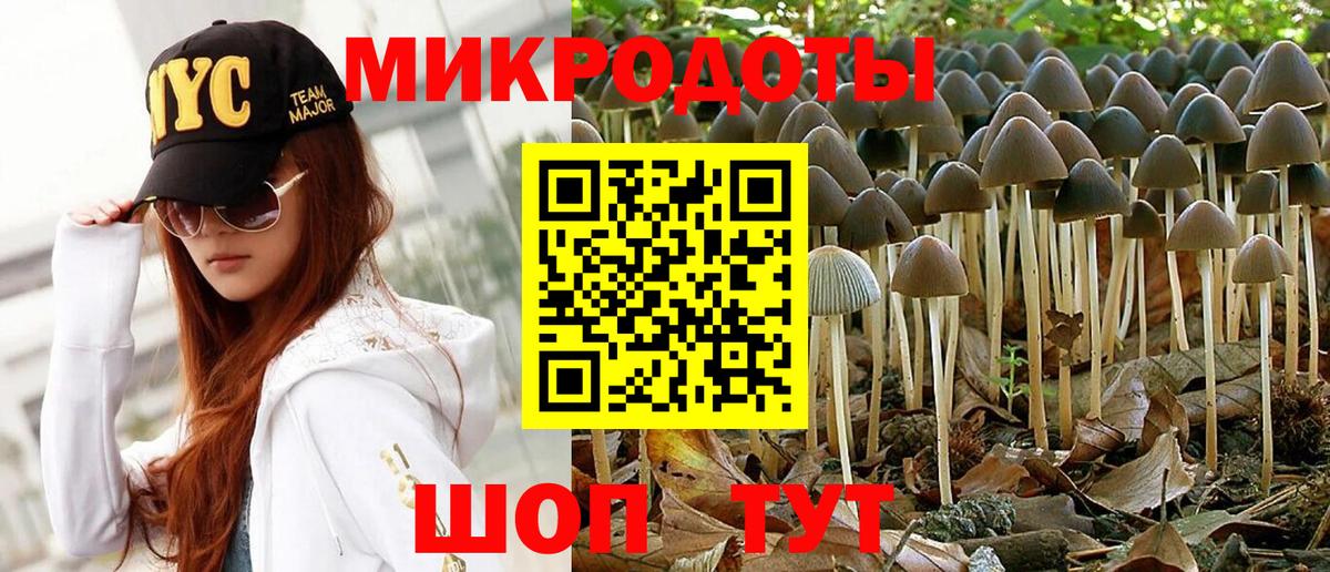 Галлюциногенные грибы Psilocybine cubensis Донецк