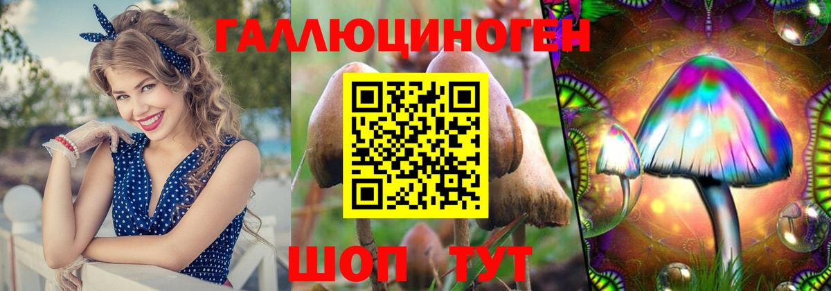 как найти наркотики  Галлюциногенные грибы ЛСД  Вход с VPN  Донецк 